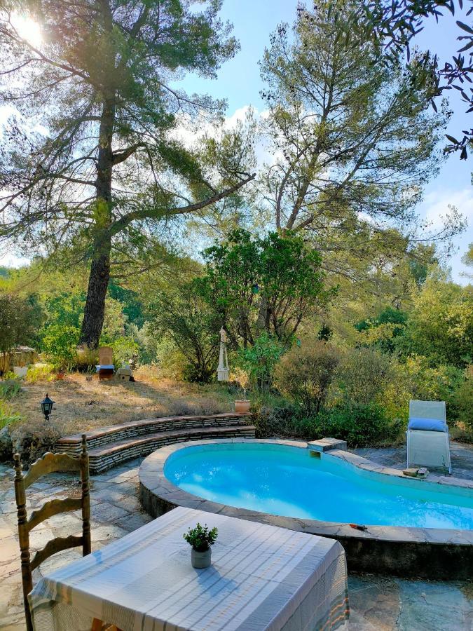 Villa Les Chariotins Драгиньян Экстерьер фото